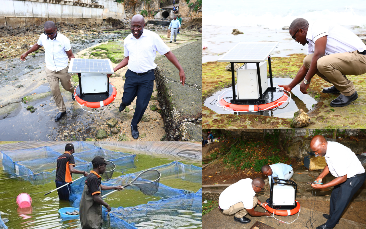 Smart Water Monitoring
